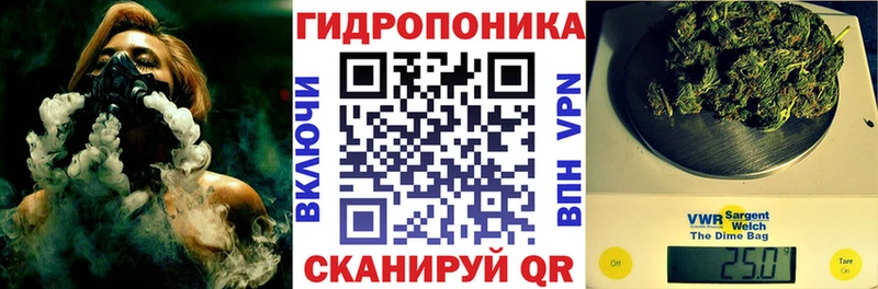 где продают наркотики  Старый Крым  Бошки марихуана планчик 